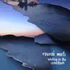 Rounak Maiti - Waiting on the Comedown